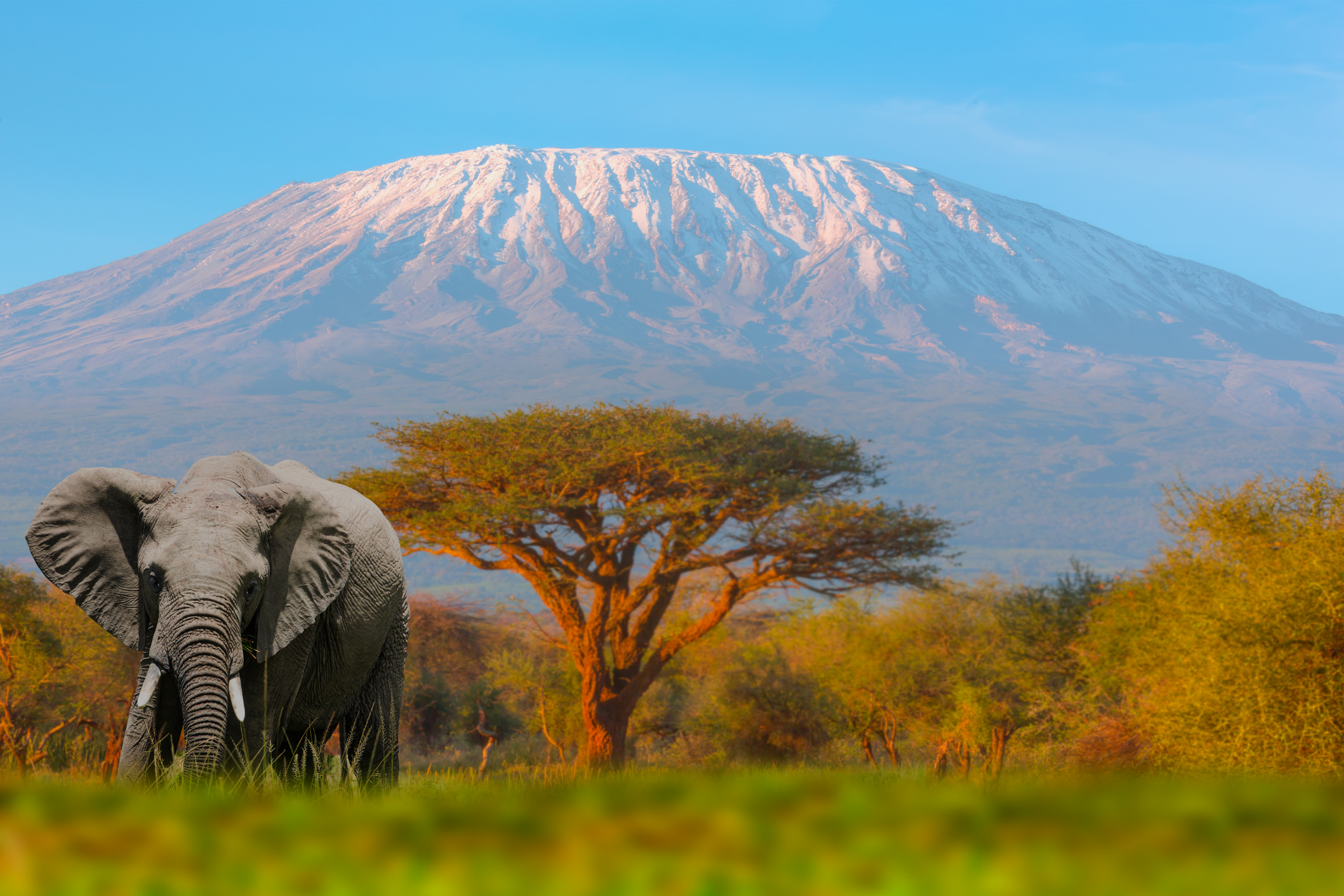 05_Mount_Kilimanjaro_National_Park[1].webp